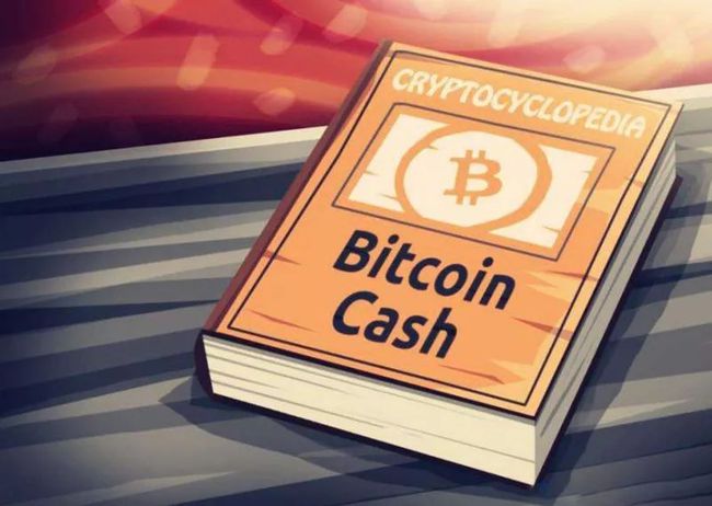 BCH-比特现金(BCH比特现金历史最高价格)